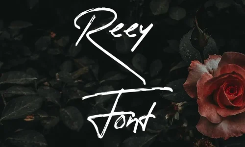 Reey Font Free Download