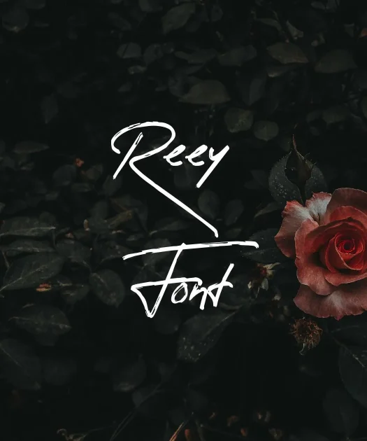 Reey Font Free Download