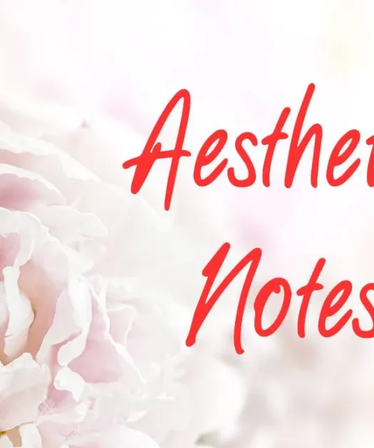 Aesthetic Notes Font Free Download