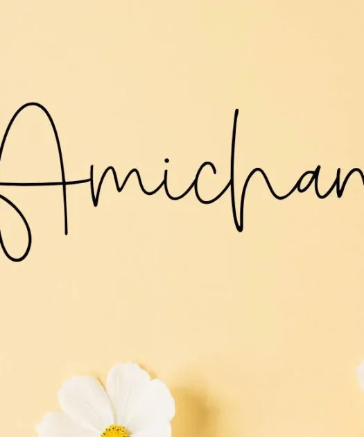 Amichan Font Free Download