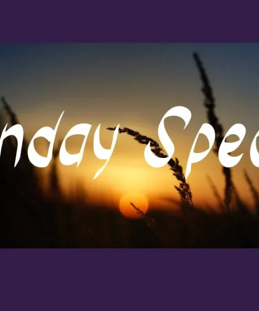 Monday Special Font Free Download