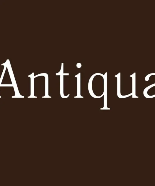 Antiqua Font Free Download