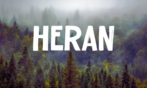 Heran Font Free Download