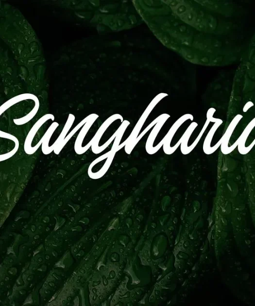 Sangharia Font Free Download