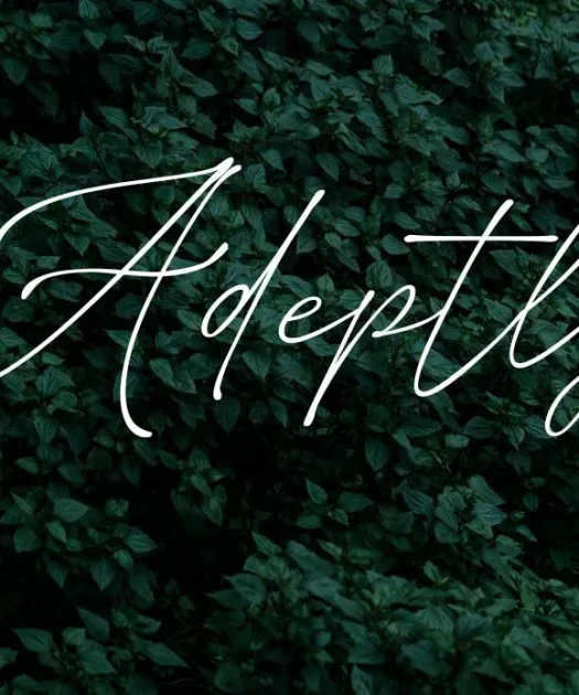 Adeptly Font Free Download