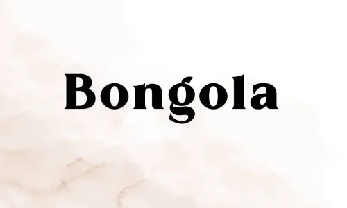 Bongola Font Free Download