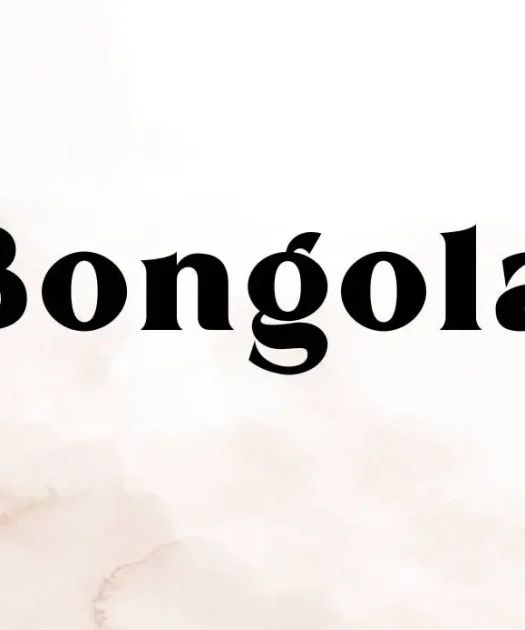 Bongola Font Free Download