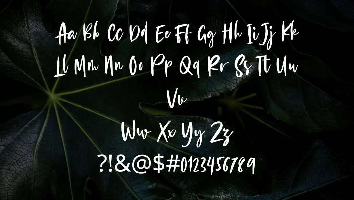 Cloudy Night Font