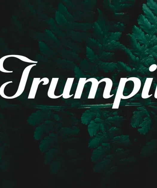 Trumpit Font Free Download