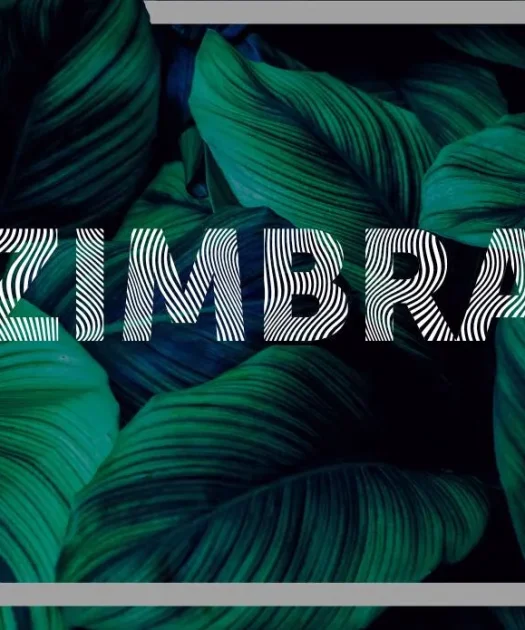 Zimbra Font Free Download