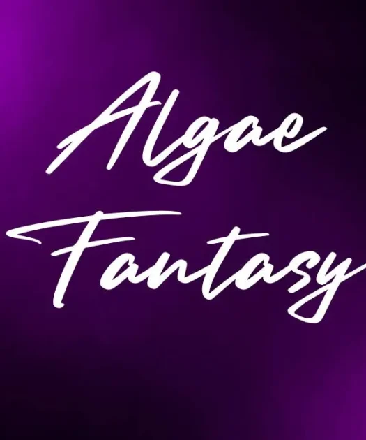 Algae Fantasy Font Free Download
