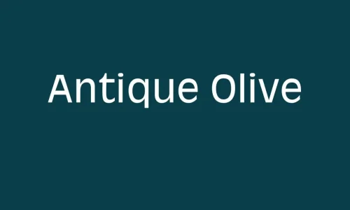 Antique Olive Font Free Download
