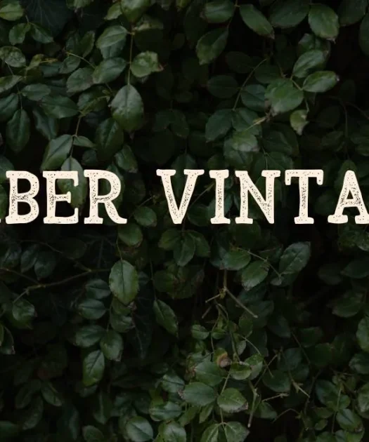 Arber Vintage Font Free Download