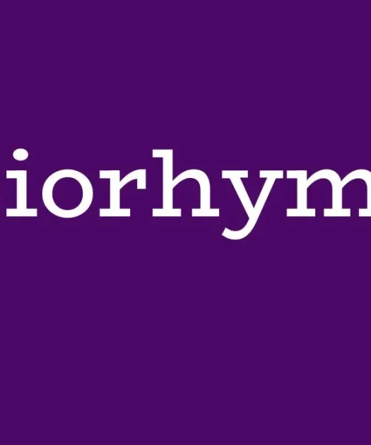 Biorhyme Font Free Download