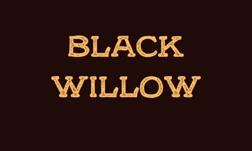 Black Willow Font Free Download