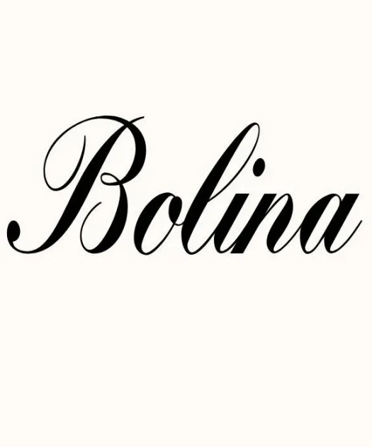 Bolina Font Free Download