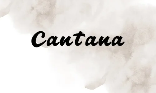 Cantana Font Free Download