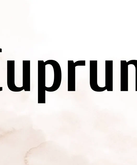 Cuprum Font Free Download