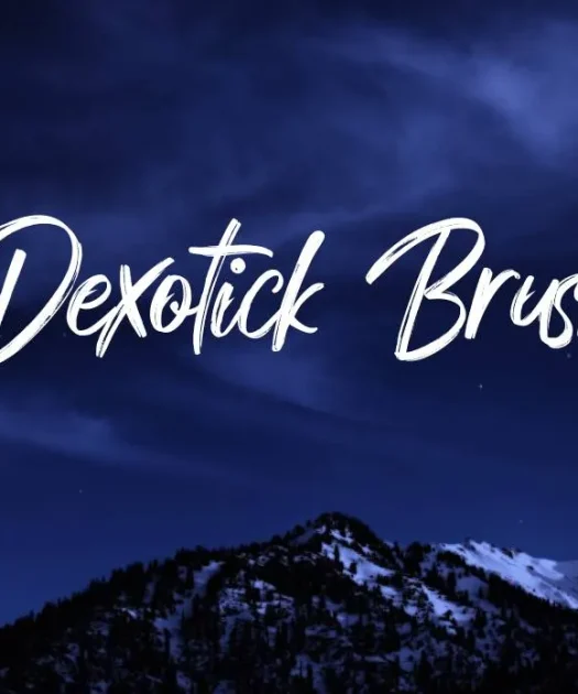 Dexotick Brush Font Free Download