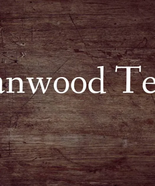 Fanwood Text Font Free Download