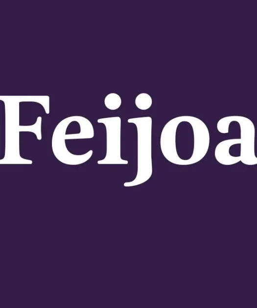 Feijoa Font Free Download
