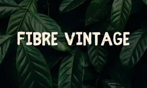 Fibre Vintage Font Free Download