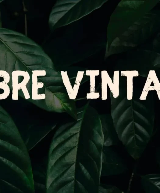 Fibre Vintage Font Free Download