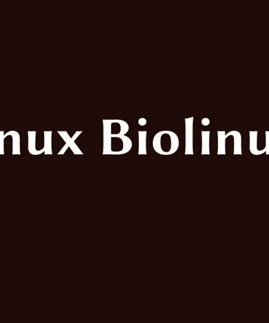 Linux Biolinum Font Free Download