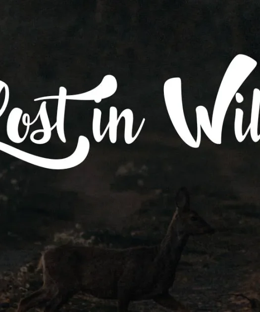 Lost in Wild Font Free Download