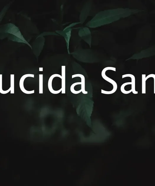 Lucida Sans Font Free Download
