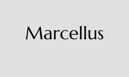 Marcellus Font Free Download