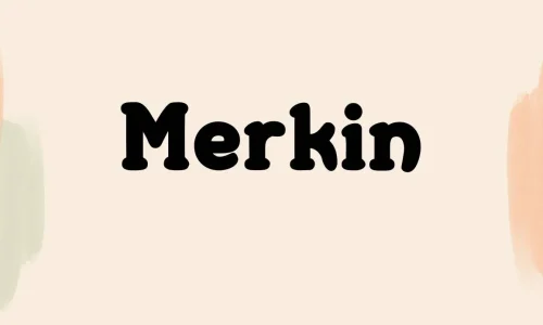 Merkin Font Free Download
