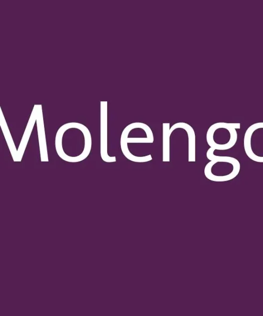 Molengo Font Free Download
