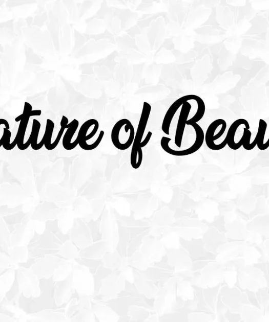 Nature of Beauty Font Free Download