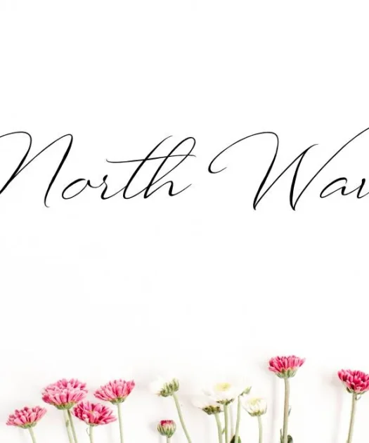 North Wave Font Free Download