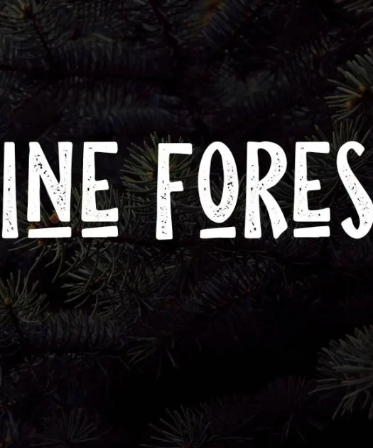 Pine Forest Font Free Download