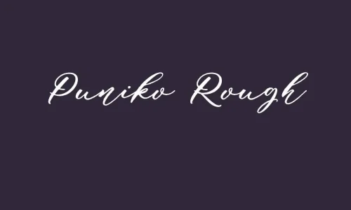 Puniko Rough Font Free Download