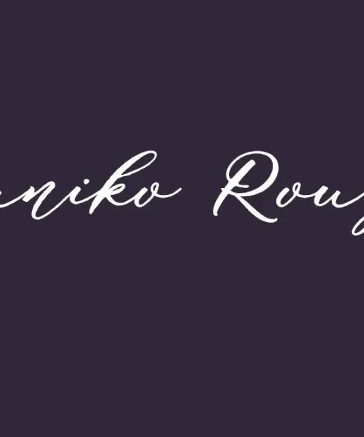 Puniko Rough Font Free Download