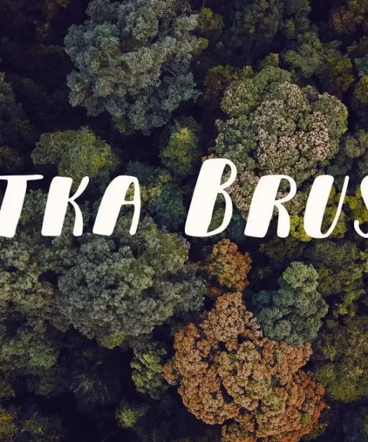 Sitka Brush Font Free Download