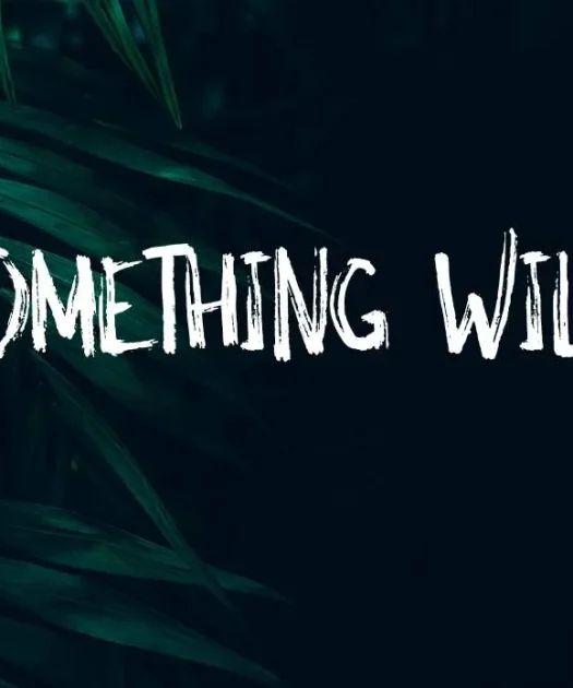 Something Wild Font Free Download
