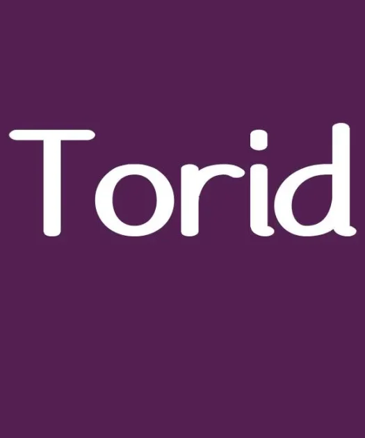 Torid Font Free Download