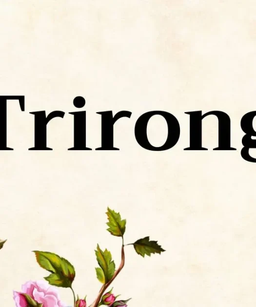 Trirong Font Free Download