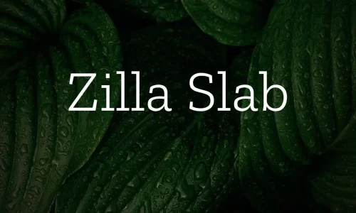 Zilla Slab Font Free Download