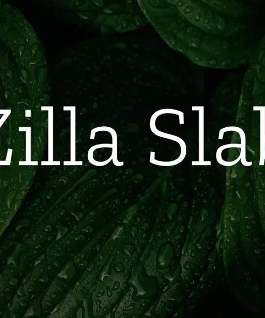 Zilla Slab Font Free Download