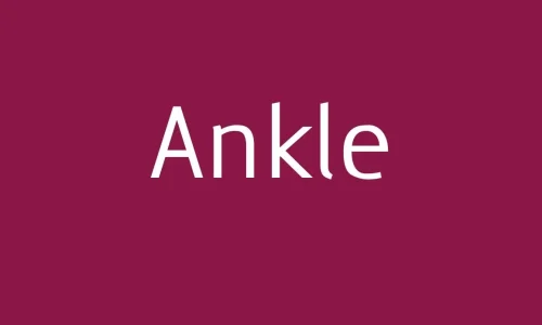 Ankle Font Free Download