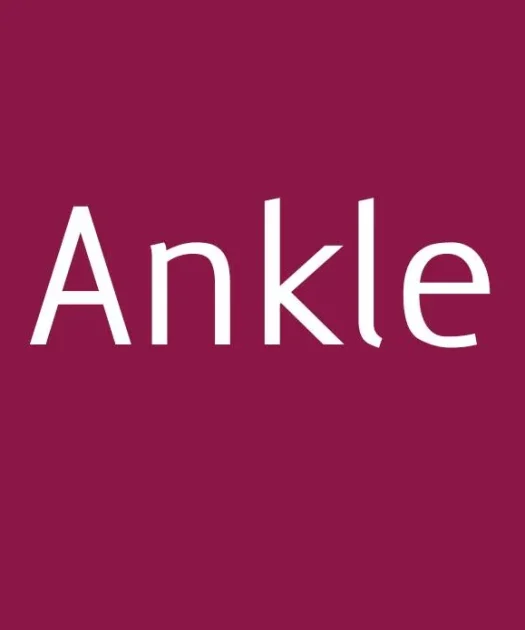 Ankle Font Free Download