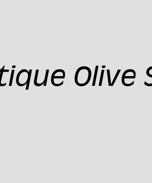 Antique Olive Std Nord Italic Font Free Download