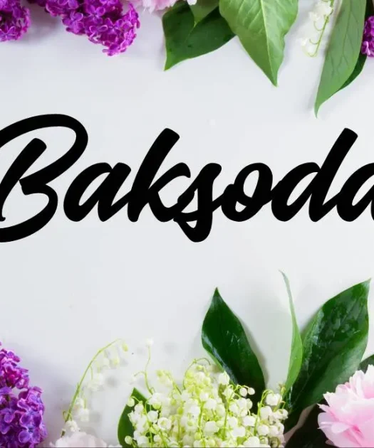 Baksoda Font Free Download