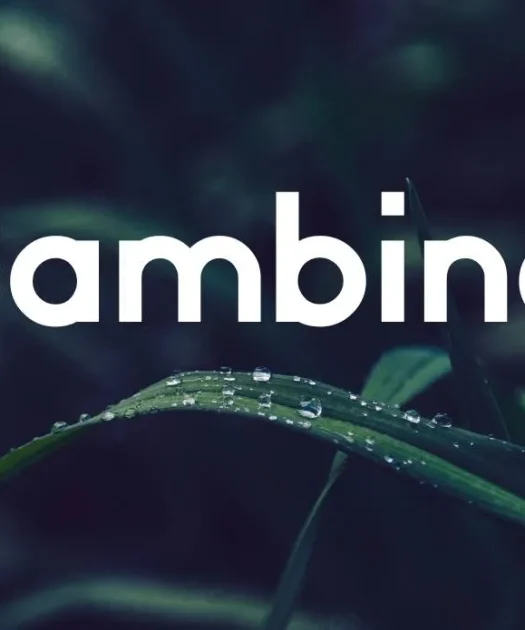 Bambino Font Free Download