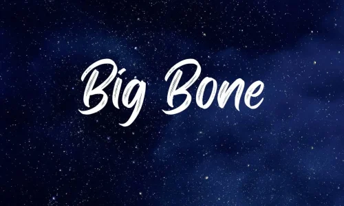 Big Bone Brush Font Free Download